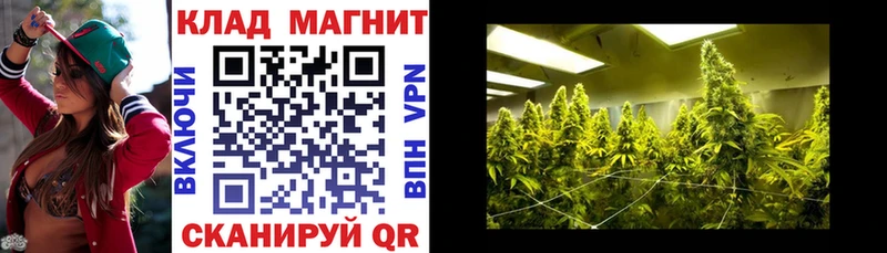 МЕФ Макарьев