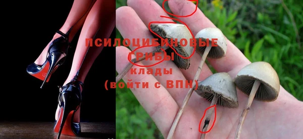MESCALINE Куртамыш