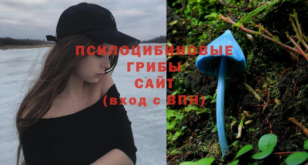 каннабис Майский