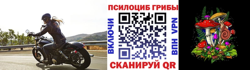 mega онион  Макарьев  Псилоцибиновые грибы мухоморы 